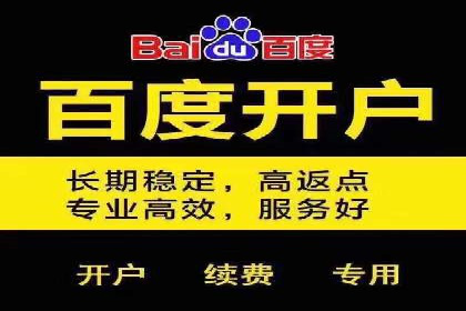 百度推广案例：品牌知名度提升之道